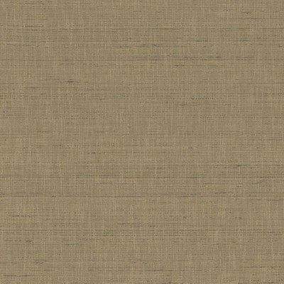 Kasmir WITH A VIEW      CONCRETE        